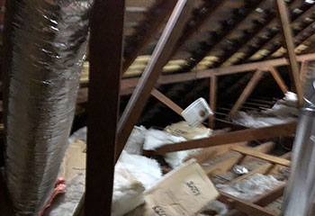 Attic Insulation Removal Project | Attic Cleaning Berkeley, CA
